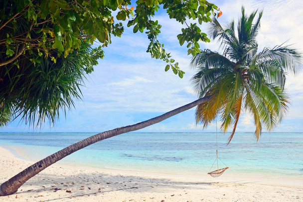 Laminated Paradise Tropical Beach Leaning Palm Tree Hammock Rope Swing Overlooking Ocean Photo Poster Dry Erase Sign 18x12