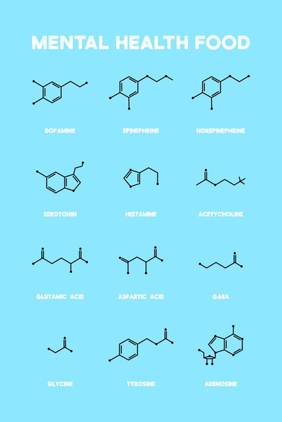 Laminated Mental Health Food Brain Chemicals Chart Poster Dry Erase Sign 12x18