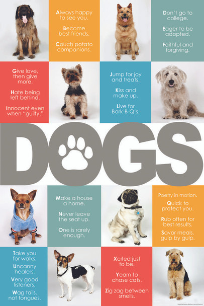Dogs A to Z Puppy Posters For Wall Funny Dog Wall Art Dog Wall Decor Puppy Posters For Kids Bedroom Animal Wall Poster Cute Animal Posters Cool Huge Large Giant Poster Art 36x54