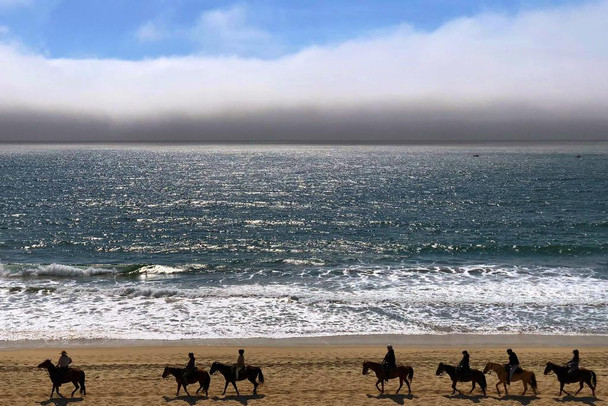 Laminated Horseback Rider Beach Half Moon Bay California Landscape Photo Poster Dry Erase Sign 18x12