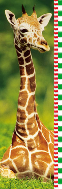 Giraffe Growing Up Kids Height Growth Chart Cool Wall Decor Art Print Poster 12x36