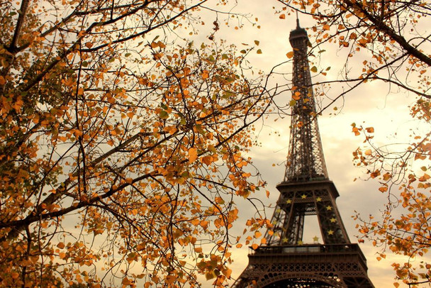 Laminated Eiffel Tower Paris France in Autumn Photo Art Print Poster Dry Erase Sign 18x12