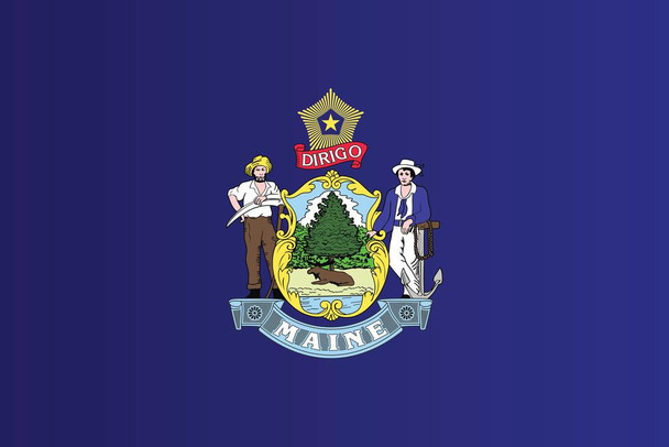 Laminated Maine State Flag Poster Dry Erase Sign 12x18