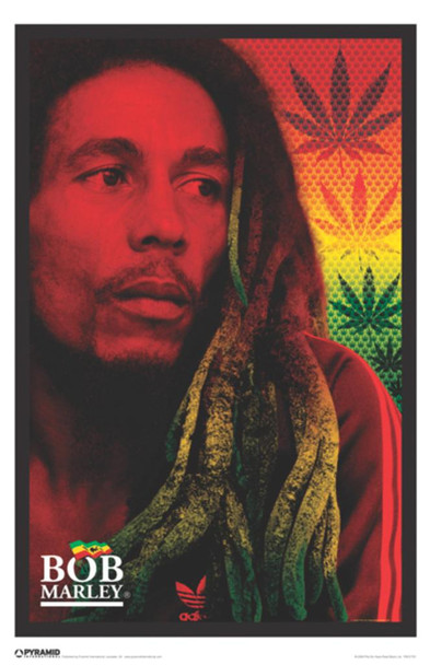 Bob Marley Dreads Laminated Dry Erase Wall Poster 12x18