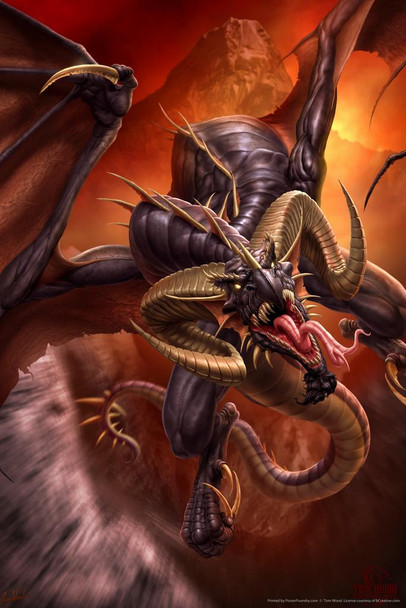 Laminated Dragon Raid Tom Wood Fantasy Art Poster Dry Erase Wall Art 12x18