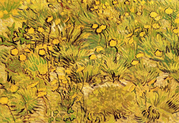 Laminated Vincent Van Gogh A Field of Yellow Flowers 1889 Post Impressionism Landscape Painting Print Poster Dry Erase Sign 18x12