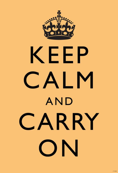 Laminated Keep Calm Carry On Motivational Inspirational WWII British Morale Tan Black Poster Dry Erase Sign 12x18