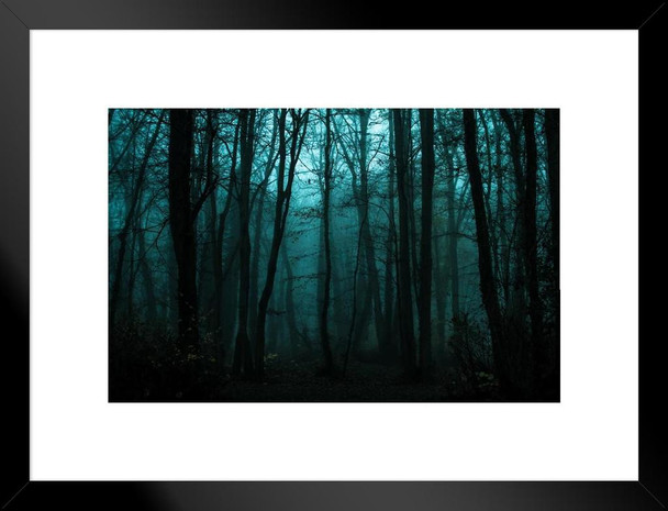 Dramatic Dusk In Fall Forest Woods Dark Trees Photo Matted Framed Wall Art Print 26x20 inch
