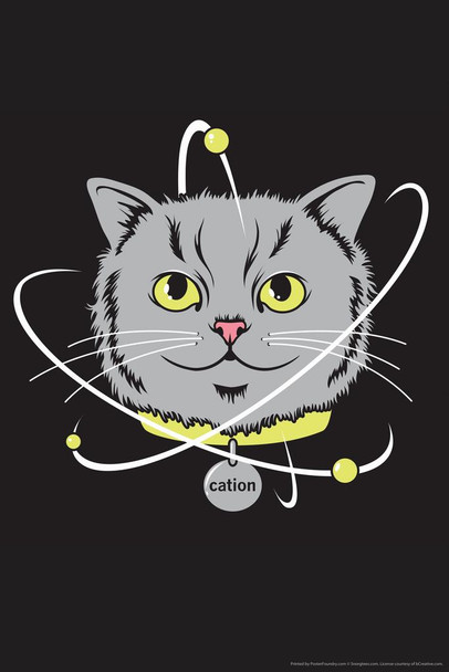 Cation Kitty Science Humor Laminated Dry Erase Sign Poster 12x18