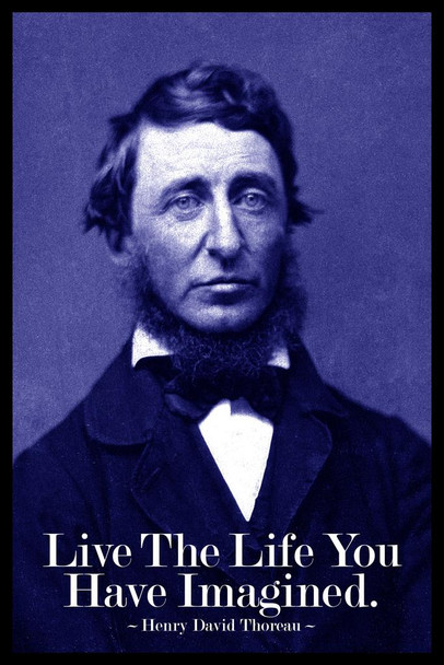 Henry David Thoreau Live The Life You Have Imagined Blue Cool Wall Art Print Poster 24x36