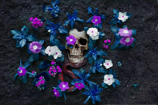 All That Remains by Daveed Benito Cool Wall Art Print Poster 36x24