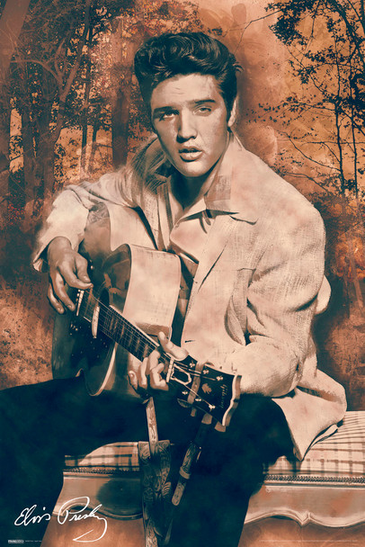 Elvis Presley Tupelo Tawn Cool Wall Decor Art Print Poster 24x36