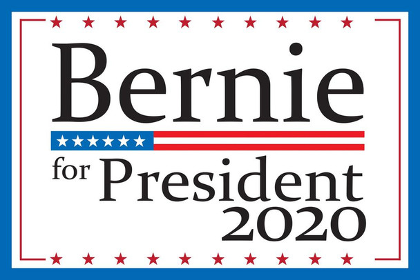 Vote Bernie Sanders For President 2020 Presidential Election Cool Huge Large Giant Poster Art 54x36