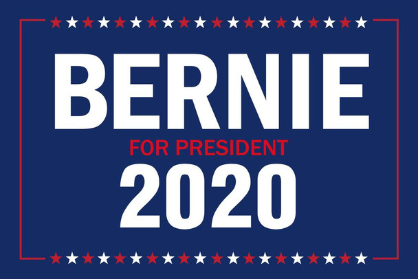 Vote Bernie Sanders For President 2020 Campaign Cool Huge Large Giant Poster Art 54x36