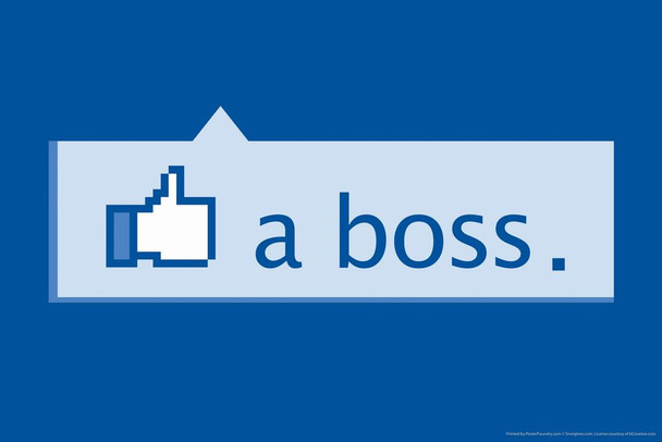 Like a Boss Social Media Humor Laminated Dry Erase Sign Poster 18x12
