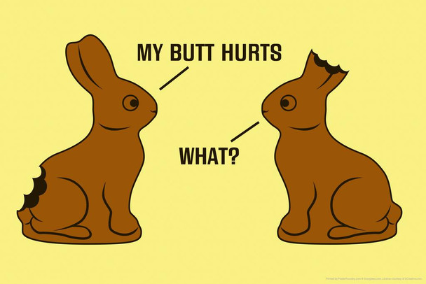 My Butt Hurts. What Chocolate Bunnies Humor Laminated Dry Erase Sign Poster 18x12