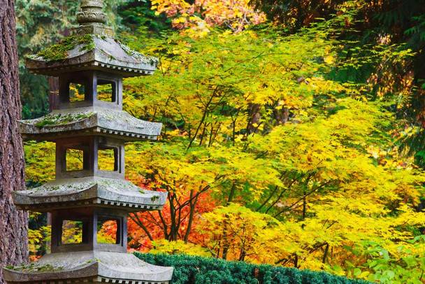 Laminated Autumn Colours Japanese Garden Portland Oregon Photo Art Print Poster Dry Erase Sign 18x12