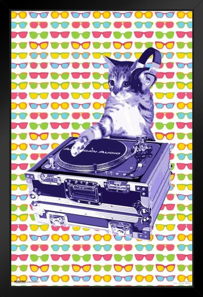 Steez DJ Cat Black Wood Framed Poster 14x20