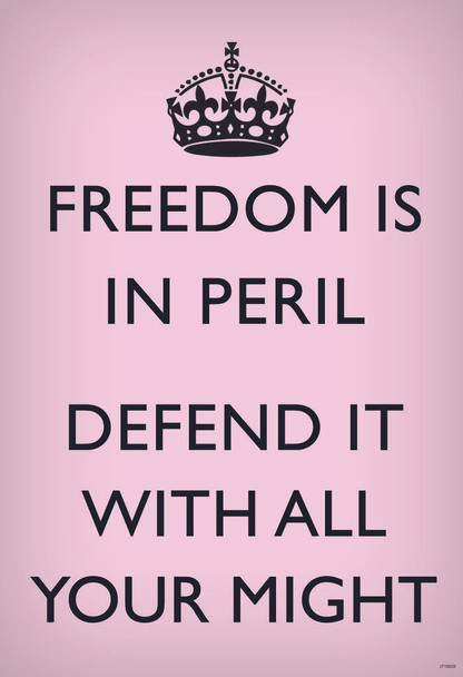 Laminated Freedom Is In Peril Defend It With All Your Might British WWII Motivational Pink Poster Dry Erase Sign 12x18