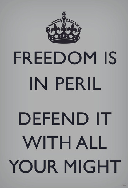 Freedom Is In Peril Defend It With All Your Might British WWII Motivational Grey Cool Huge Large Giant Poster Art 36x54
