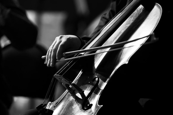 Laminated Musicians Hand Playing The Cello Black And White Photo Art Poster Dry Erase Sign 18x12