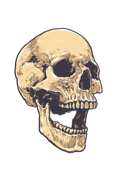 Grunge Skull Anatomical Artistic Drawing Cool Wall Decor Art Print Poster 24x36