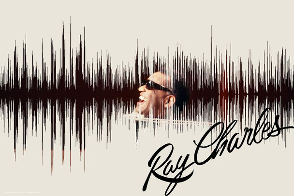 Ray Charles I Got A Woman Waveform Music Cool Huge Large Giant Poster Art 36x54