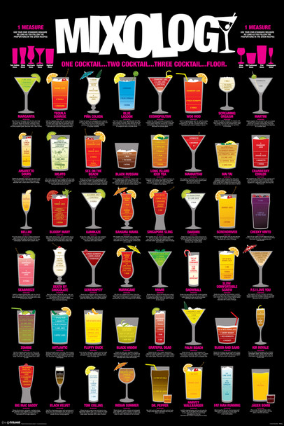 Mixology Cocktail Mixed Drinks Chart Cool Wall Decor Art Print Poster 12x18