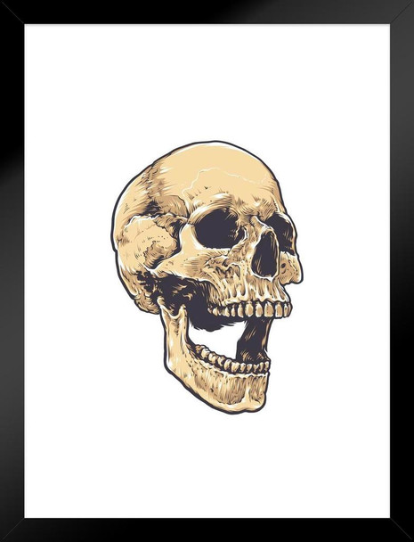 Grunge Skull Anatomical Artistic Drawing Matted Framed Wall Art Print 20x26 inch