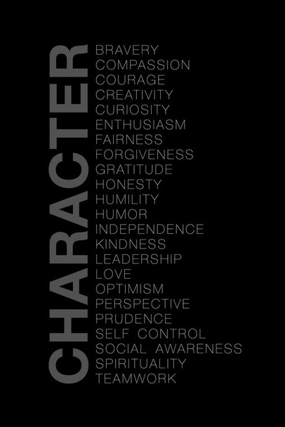 Laminated Character Bravery Compassion Courage Creativity Curiosity Black Gray Motivational Inspirational Poster Dry Erase Sign 12x18