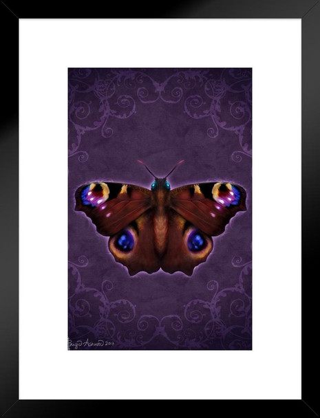 Damask Butterfly by Brigid Ashwood Butterfly Poster Vintage Poster Prints Butterflies in Flight Wall Decor Butterfly Illustrations Insect Art Matted Framed Art Wall Decor 20x26
