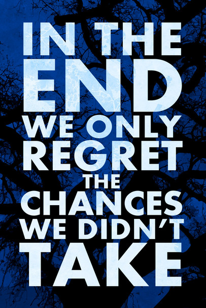 In The End We Only Regret The Chances We Didnt Take Motivational Cool Wall Art Print Poster 12x18