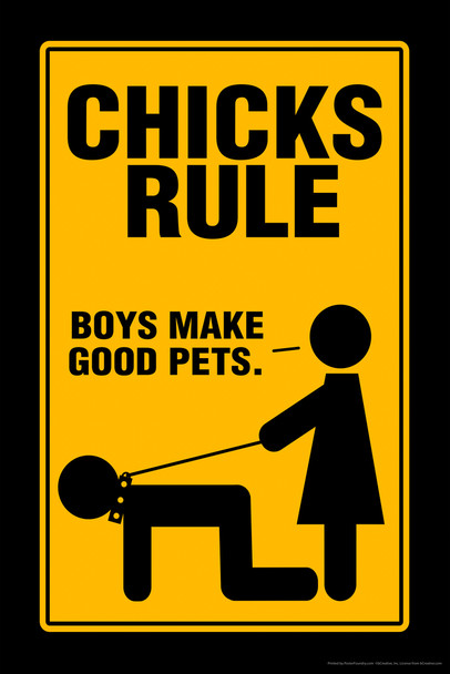 Chicks Rule Boys Make Good Pets Sign Humor Female Empowerment Feminist Feminism Woman Women Rights Matricentric Empowering Equality Justice Freedom Cool Wall Decor Art Print Poster 12x18