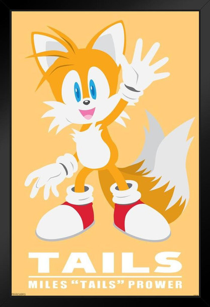 Sonic the Hedgehog Tails Sega Video Game Gaming Black Wood Framed Art Poster 14x20