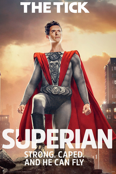 The Tick Superian TV Series Cool Wall Decor Art Print Poster 12x18
