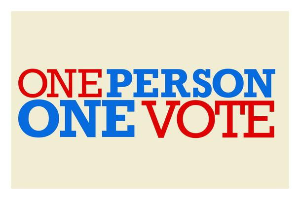 One Person One Vote Political Campaign 2024 Presidential Election Support Voting Rights Patriot Patriotism American Flag America United States Cool Wall Art Print Poster 12x18