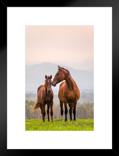 Horse Picture Mare Foal Family Rolling Hills Breed Running Girls  Room Rodeo Cowboy Western Stallion Farm Ranch Matted Framed Art Wall Decor 20x26