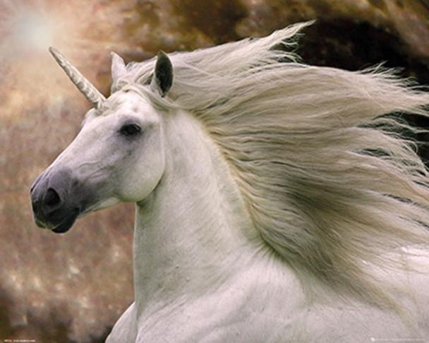Unicorn Majestic by Bob Langrish Cool Wall Art Print Poster 20x16