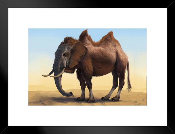 Camelephant Camel Elephant Animal Mashup by Vincent Hie Funny Matted Framed Art Print Wall Decor 20x26 inch