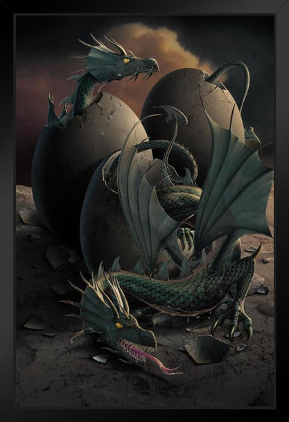Dragon Offspring Hatching Shells by Vincent Hie Art Print Black Wood Framed Poster 14x20