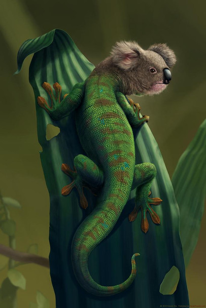 Gekoala Gecko Koala Animal Mashup by Vincent Hie Funny Poster Reptile Print Lizard Poster Reptile Koala Biology WIldlife Nature Art Print Large Lizard Hybrid Cool Huge Large Giant Poster Art 36x54