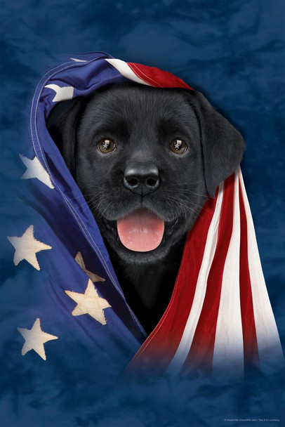 Cute Black Puppy in American Flag by Vincent Hie Patriotic Animal Cool Wall Decor Art Print Poster 24x36