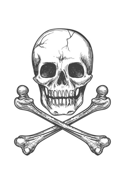 Skull Bones Crossbones Detailed Artistic Drawing Poster Black White Sketch Pirate Flag Motif Human Skeleton Death Cool Wall Decor Art Print Poster 24x36