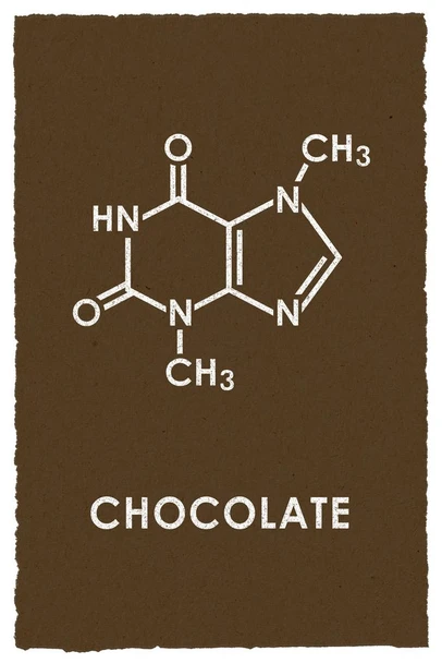 Chocolate Theobromine Molecule Science Brown Funny Cool Wall Art Print Poster 24x36