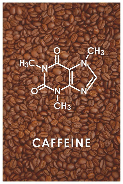 Laminated Caffeine Coffee Molecule Science Beans Funny Poster Dry Erase Sign 12x18