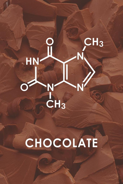 Laminated Chocolate Theobromine Molecule Science Image Funny Poster Dry Erase Sign 12x18