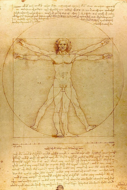 Laminated Leonardo Da Vinci Vitruvian Man Poster Drawing Circa 1490 Human Body Sketch Renaissance Italy Poster Dry Erase Sign 24x36