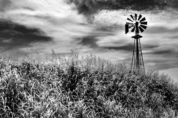 Laminated Timeless Windmill Texas Hill Country Rural Scene Photo Art Print Poster Dry Erase Sign 36x24