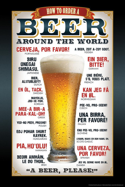 Laminated How To Order A Beer Around The World Languages Poster Dry Erase Wall Art 24x36