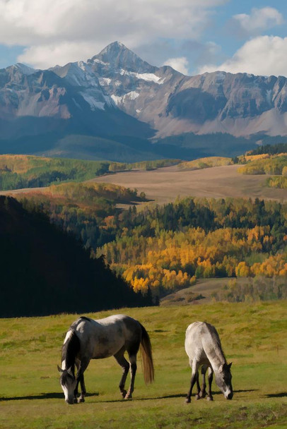 Laminated Horses Grazing near Telluride Colorado Photo Poster Horse Pictures Wall Decor Horse Poster Print Horse Breed Poster For Girls Horse Picture Wall Art Poster Dry Erase Wall Art 24x36